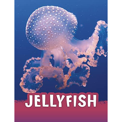 Jellyfish by Jaclyn Jaycox Paperback Book