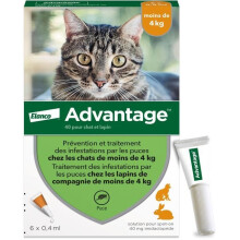 Advantage Antiflea Solution Cat Rabbit 1 to 4kg 6 pipettes