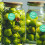 3000Pcs Green Qc Passed Labels Warehouse Adhesive Stickers 5