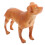 5Pcs Realistic Orange Plastic Dog Simulation Model for Nursery 4