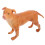 5Pcs Realistic Orange Plastic Dog Simulation Model for Nursery 8