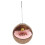 3Pcs Natural Parrot Nest Coconuts Shell Hanging Bird Bed with Pad 1