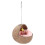 3Pcs Natural Parrot Nest Coconuts Shell Hanging Bird Bed with Pad 3