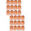 2000Pcs Waterproof Bee Incubation Bases Plastic Light Brown Beekeeping 7