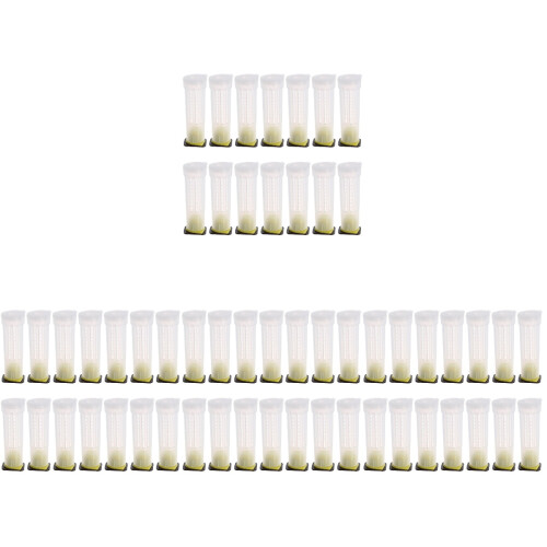 80Pcs Practical Plastic Cage for Beekeeping 1