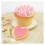 Lebensmittelpulver Farbstoff BLUSH 10G 1
