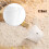 Plastic 120ml Electric Cooker Rice Measuring Cup 2pcs Clear White 4