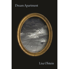Dream Apartment by Lisa Olstein Paperback Book