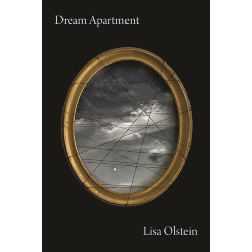 Dream Apartment by Lisa Olstein Paperback Book