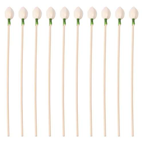20Stk Blüten Diffuser Sticks Beige Ideal Für Ätherische Öle