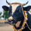 4Pièces Pince Vache Acier Bétail Fermier Durable 5
