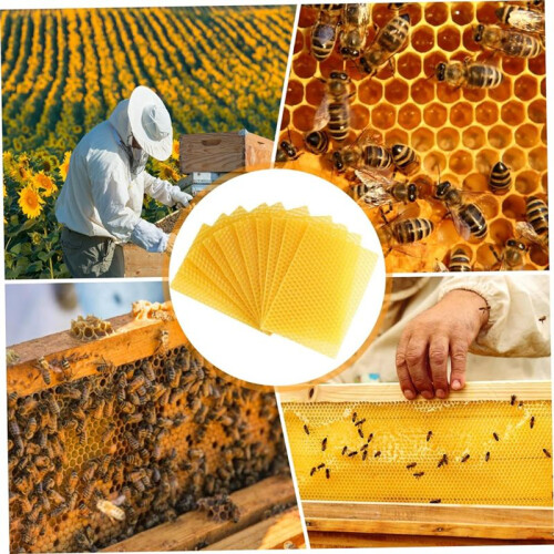 Beeswax Sheets 30Pcs Beeswax Foundation Sheets Wax Foundation for Bee Frames Natural Honeycomb Sheets Beeswax Sheets 1