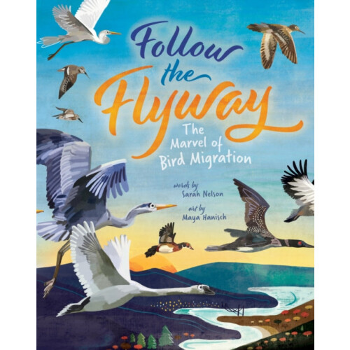 Follow the Flyway by Sarah Nelson Paperback Book