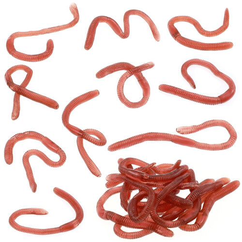 20Pièces Décors Fausse Simulation En Plastique