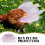 2Pcs Breathable Gauze Chicken Skirt Hen Back Protector 10