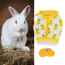 Rabbit Vest Leash Set with Fruit Print & Lace Hem, Small Animal Harness for Chinchilla & Ferret