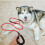2Pcs Red Nylon Dog Traction Strap Heavy Duty Pet Pulling Leash 11