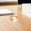15Pcs Orange Arm Badge Holders PVC Adjustable Armband for Security Id 4