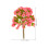 40Pcs Durable Pink Mini Tree Models for Train Scenery and DIY Decor 9
