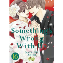 Somethings Wrong With Us 16 by Natsumi Ando Paperback Book