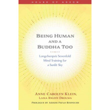 Being Human and a Buddha Too by Anne Klein Paperback Book