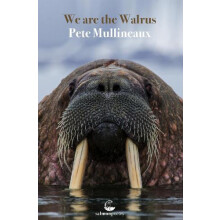We Are The Walrus by Pete Mullineaux Paperback Book