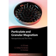 Particulate and Granular Magnetism by Hirohata Prof Atsufumi Professor