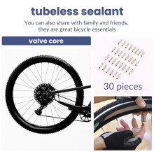 30 Pcs Presta Valve Core Bike Replacement Tubeless Core for Tubeless Road MTB Bike,Bicycle Accessories