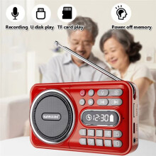 BANNIXING Portable Mini FM Radio with Bluetooth LED Display Soundbar Music Player & Recorder 76-108MHZ Frequency Range