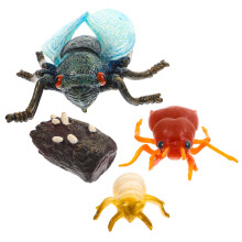 5Ensembles Cicada Modèles Réalistes Décoratifs Jouet Apprentissage