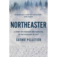 Northeaster by Cathie Pelletier Paperback Book