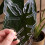 1Pcs Plant Stem Plastic Support,Flower Stem Holder,Reusable Plant Retaining Support,A 5