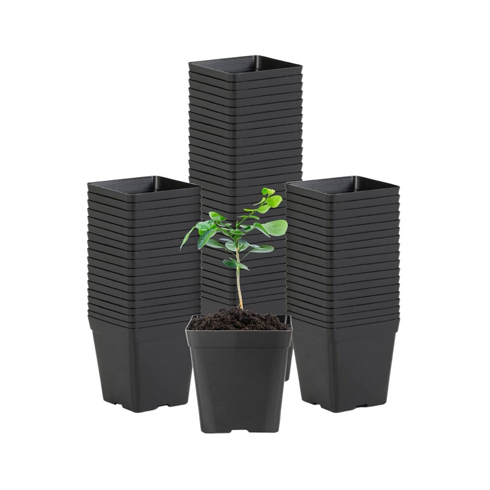 Semoic Square Seedling Pots Flexible Plastic Seedling Pots Are For Plants And Succulents In Square Pots(100Pcs)