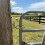 Heavy Duty OneHand Automatic Gate Latch, Rust Resistant Steel for Farm, Ranch, Backyard (2 Pcs) 3