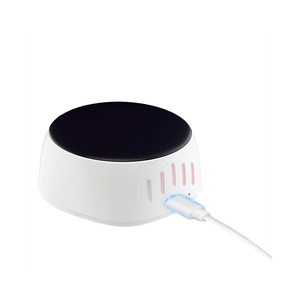 Toothbrush Case Sterilizer, Portable Sterilizer with Fan Drying Function, Suitable for All Toothbrushes