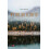 Wild Life by Stefan Batorijs Paperback Book 1
