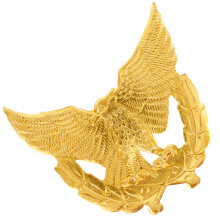 5St Gouden Metalen Adelaar Broche Voor Veiligheidsuniform Accessoires