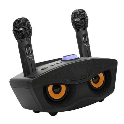 SD306 Karaoke Lautsprecher Bluetooth 1