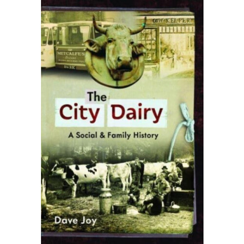 The City Dairy by Dave Joy Paperback Book