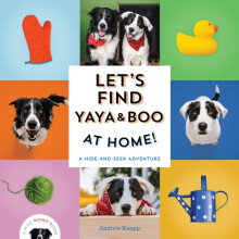 Lets Find Yaya and Boo at Home by Andrew Knapp Other Book