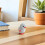 4St Wit Wind-Up Kip Spring Speelgoed Educatief Voor Kinderen 4