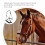 Licol Cheval Mors En Polyester Noir Résistant 8