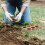 4Pcs Chocolate Silicone Starter Tray for Seed Germination and Growing 11