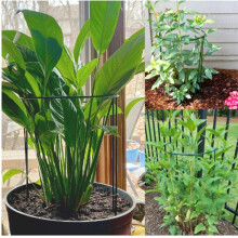 Pacote com 6 Estacas Grandes de Suporte para Plantas com Arco de 60 cm de Altura, Jardim de Metal Forte Suporta Aros de Flores Meio Redondos