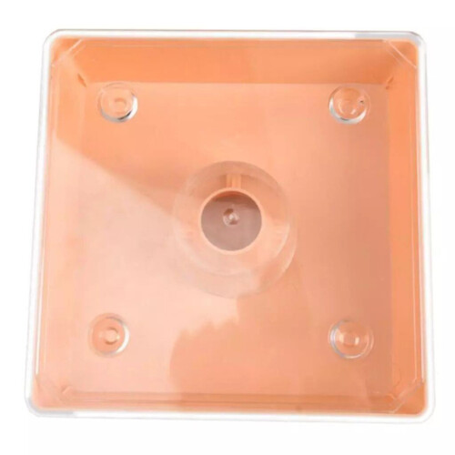 Bee Feeder Square 2 Litres Beehive Top Feeder Beekeeper Tool Beekeeping Feeder with Transparent Cover Pre-Assembled 2