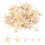 Small Starfish Star Sea Shell Beach  0.4 inch-1.2 inch 90 Pcs 1