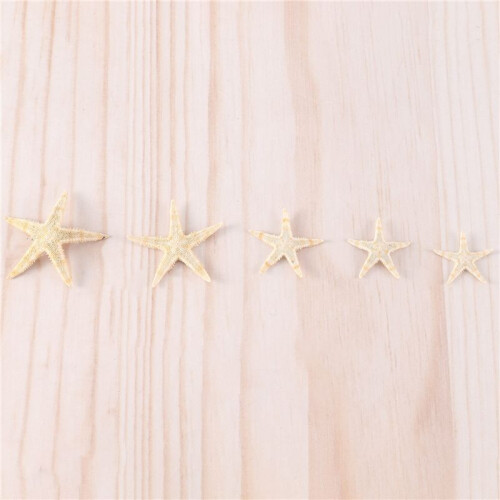 Small Starfish Star Sea Shell Beach  0.4 inch-1.2 inch 90 Pcs 1
