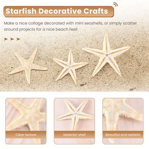Small Starfish Star Sea Shell Beach  0.4 inch-1.2 inch 90 Pcs 2