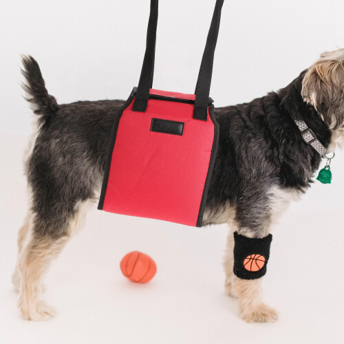 2Pcs Auxiliary Belt Padded Sling for Pet Hip and Back Support 2