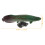4Pcs Adorable Plastic Fish Figures Kids Educational Toy 8